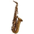 Wood Stone/Alto Saxophone/New Vintage/AF