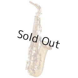 Photo1: Wood Stone/Alto Saxophone/New Vintage/GL