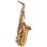 Photo1: Wood Stone/Alto Saxophone/New Vintage/GL (1)