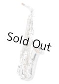 Wood Stone/Alto Saxophone/Super Custom X/SP