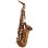 Photo1: Wood Stone/Alto Saxophone/New Vintage/VL (1)