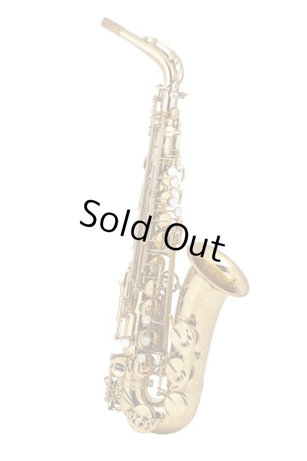 Photo1: Wood Stone/Alto Saxophone/Super Custom X/GL