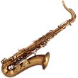 Photo1: Wood Stone/Tenor Saxophone/New Vintage/Vintage Lacquer Model/WOF