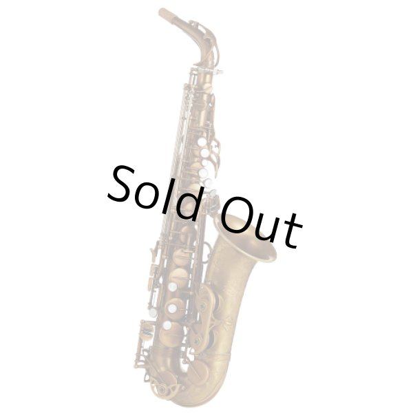 Photo1: Wood Stone/Alto Saxophone/New Vintage/AF