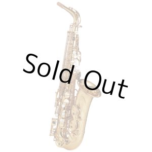 Photo: Wood Stone/Alto Saxophone/New Vintage/GL