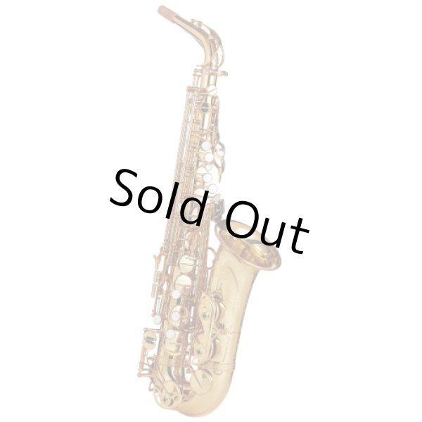 Photo1: Wood Stone/Alto Saxophone/New Vintage/GL