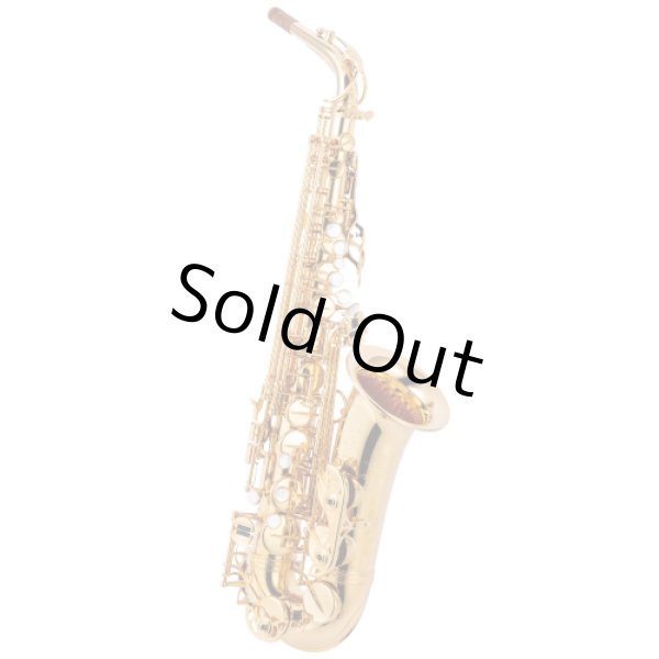 Photo1: Wood Stone/Alto Saxophone/New Vintage/GP