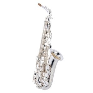 Photo: Wood Stone/Alto Saxophone/Super Custom/SP