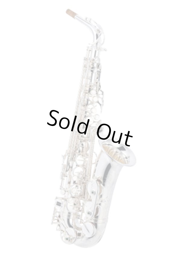 Photo1: Wood Stone/Alto Saxophone/Super Custom X/SP