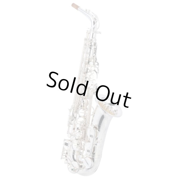 Photo1: Wood Stone/Alto Saxophone/New Vintage/SP