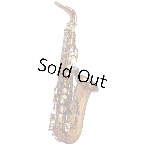 Photo1: Wood Stone/Alto Saxophone/New Vintage/VL/WOF