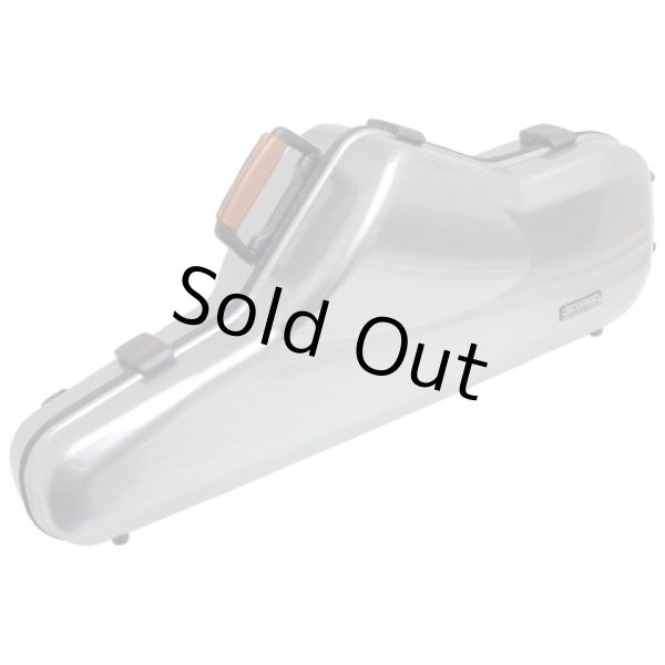 Photo6: Wood Stone/Tenor Saxophone/New Vintage/VH Model/Antique Finish/WOF